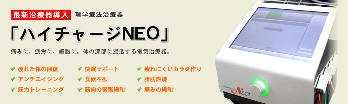 ハイチャージNEO
